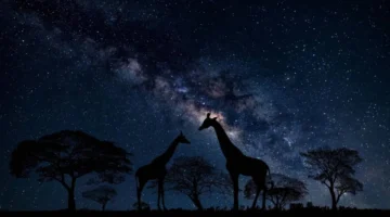 ظاهرة فلكية نادرة.. تلسكوب ناسا يرصد مجرة غريبة تشبه شكل الزرافة في الفضاء المفتوح